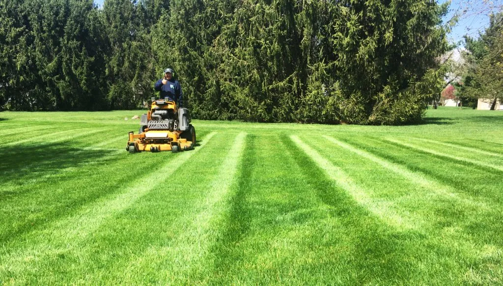 Crew member mowing a large striped lawn with a commercial stand-on mower